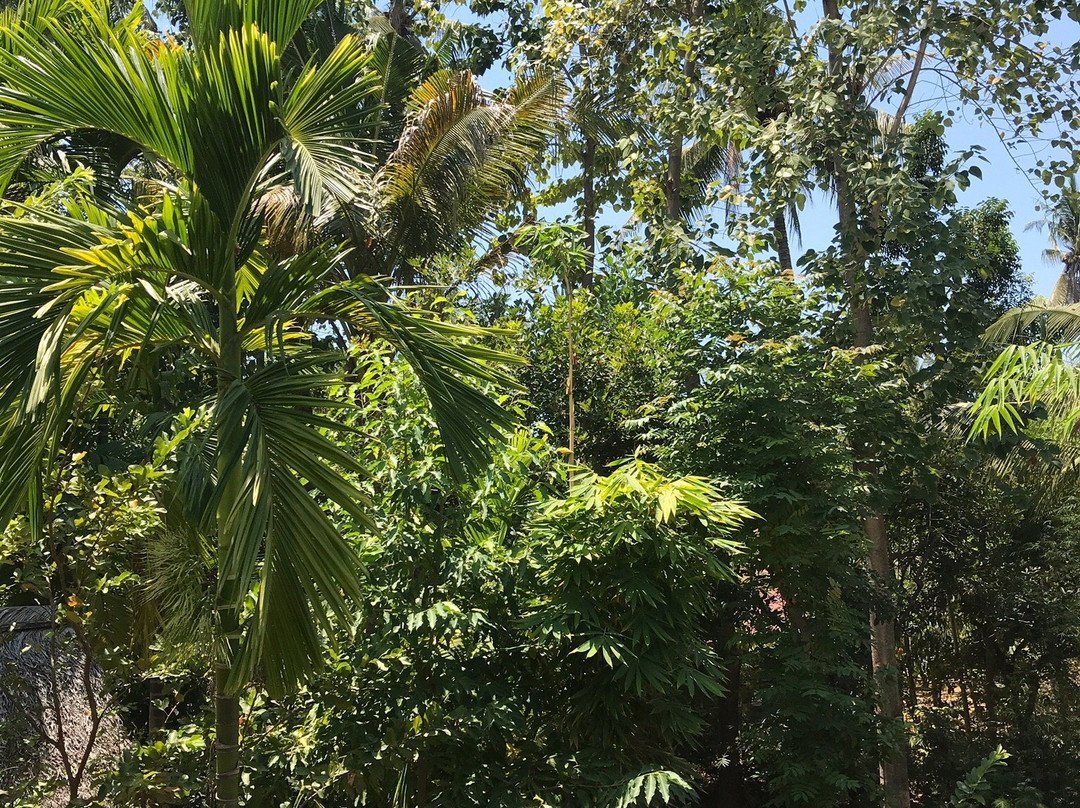 Bali Sandat Guest House主图