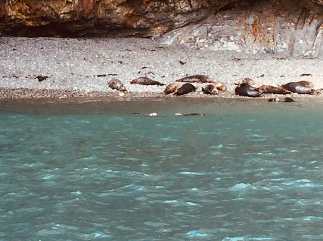 Ramsey Island Nature Reserve-St. Davids必去景点
