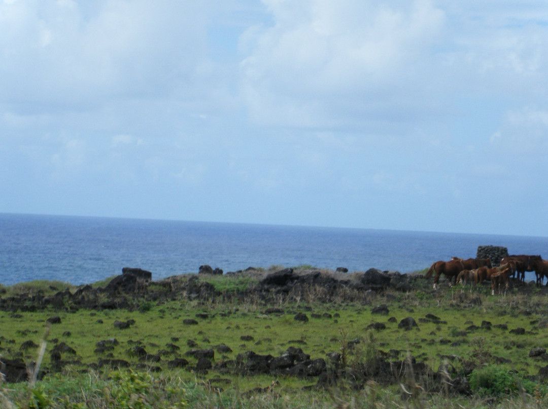 Ahu Te Pito Kura-复活节岛必去景点
