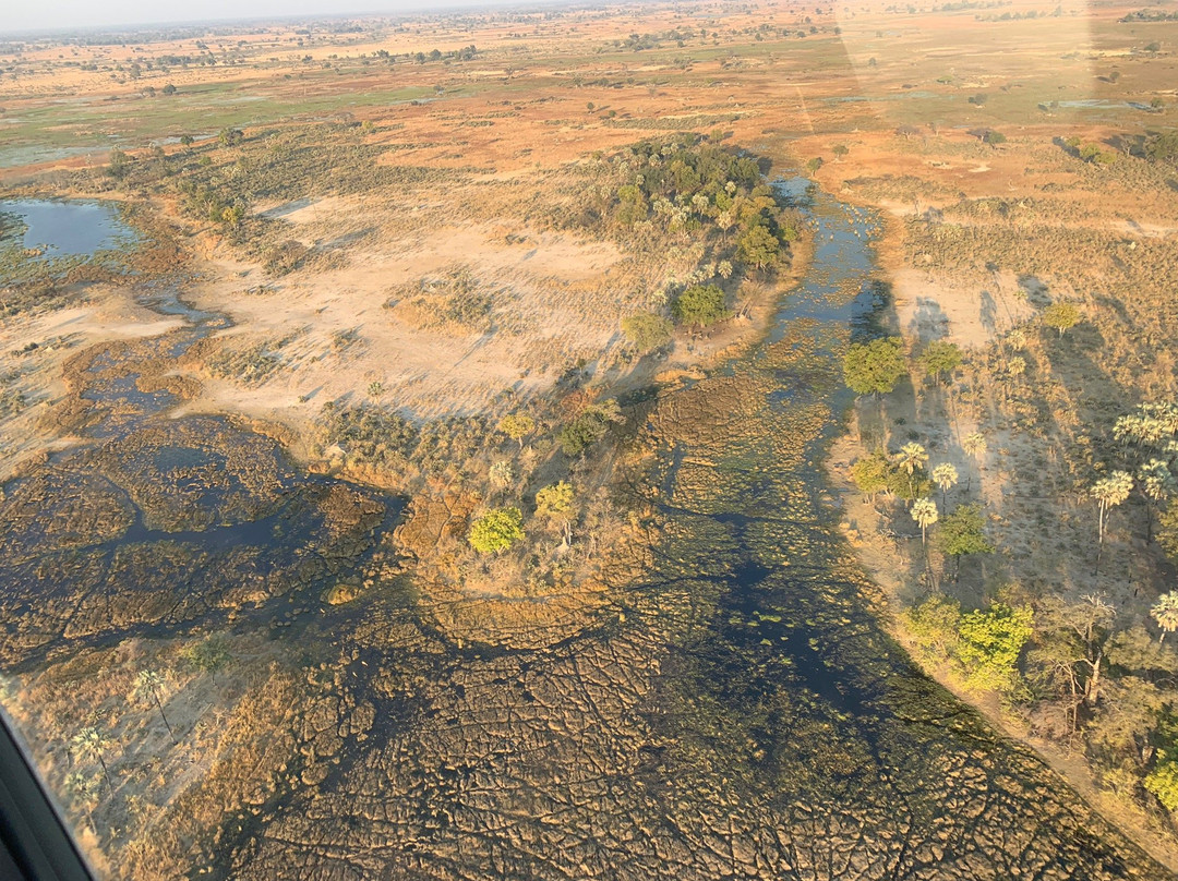 Okavango Delta景点图片