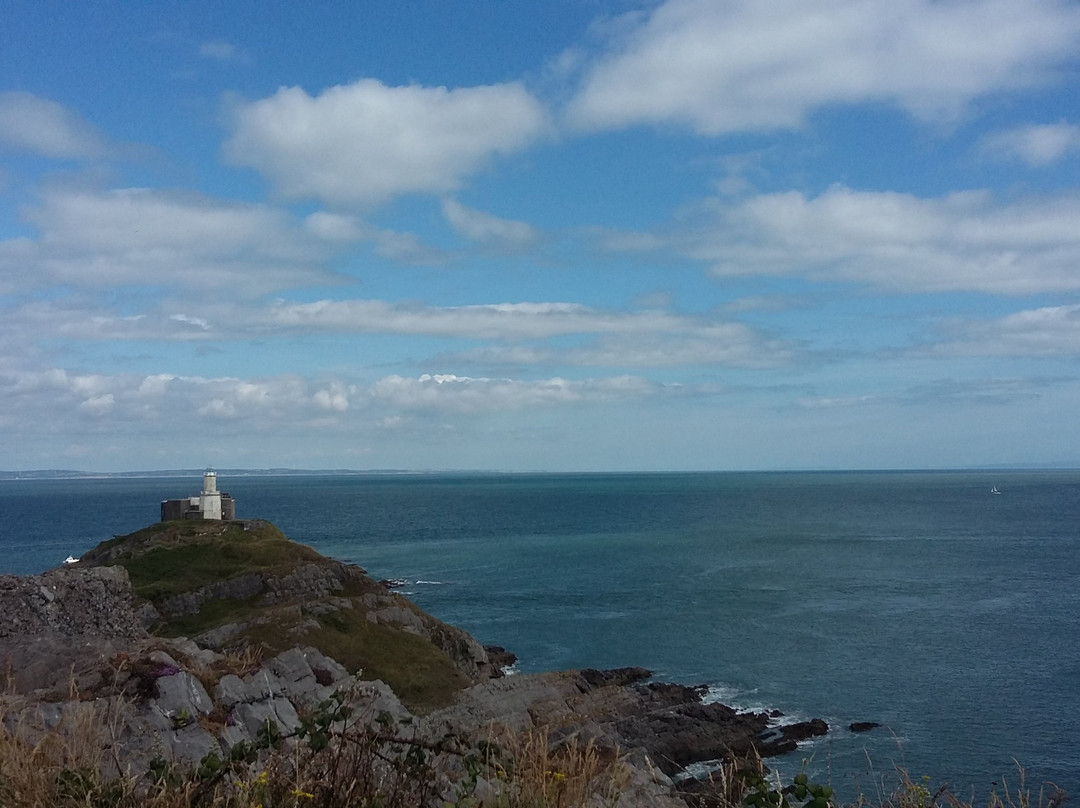Mumbles Hill Local Nature Reserve景点图片