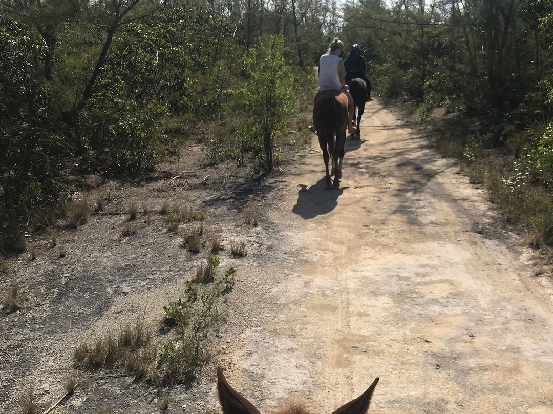 Happy Trails Stables-Coral Harbour必去景点
