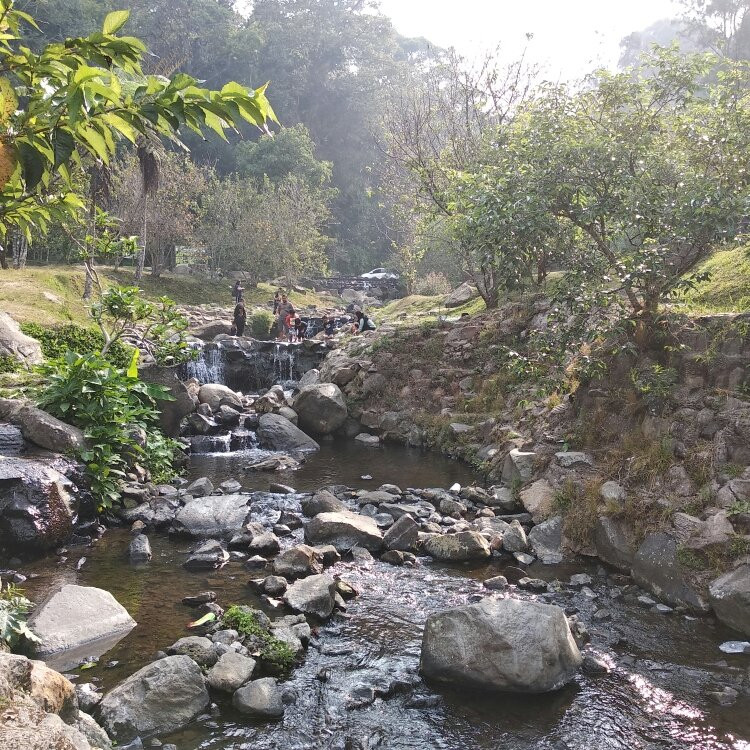 Cibodas Botanical Garden-Cianjur必去景点