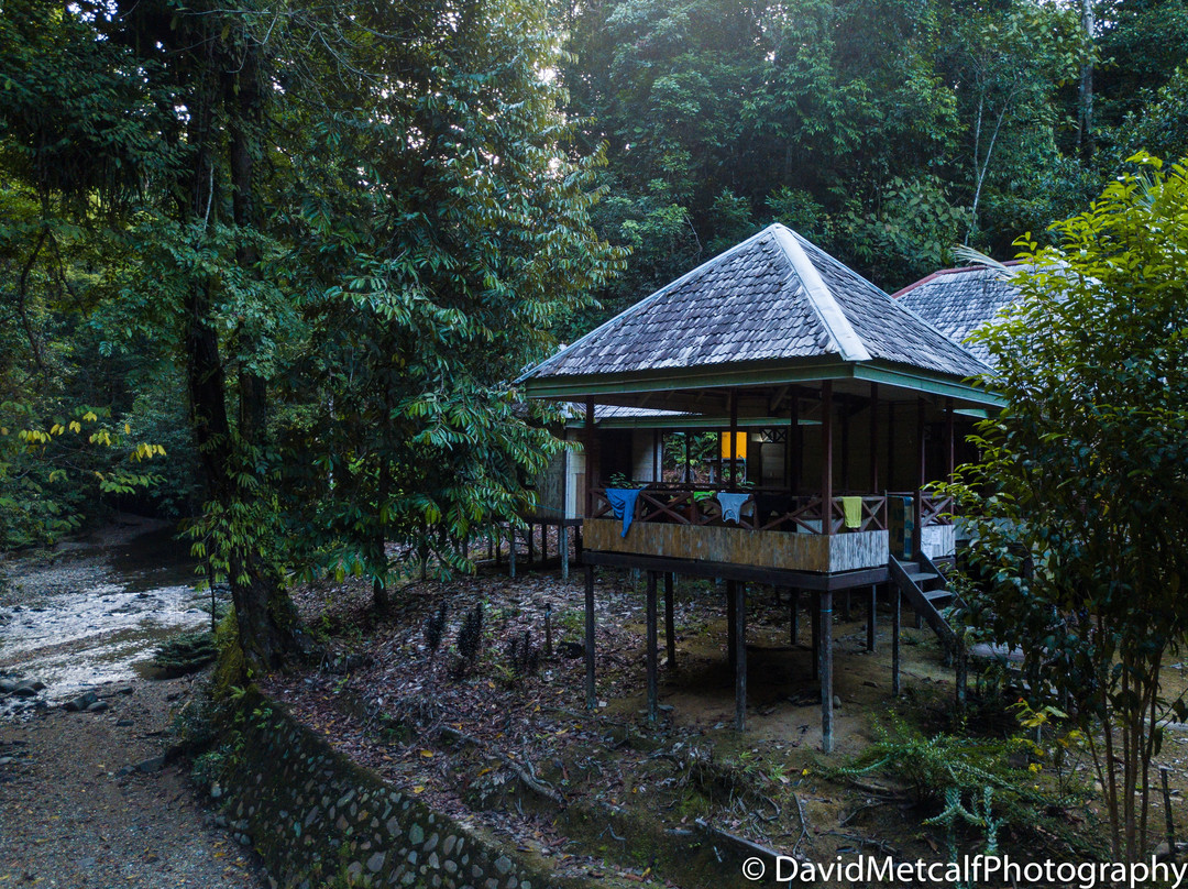 Central Borneo Guide-帕朗卡拉亚必去景点