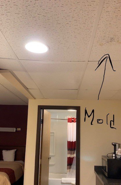 TownHouse Hotel Grand Forks-官方