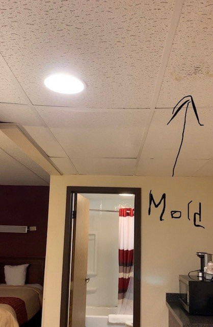 TownHouse Hotel Grand Forks主图