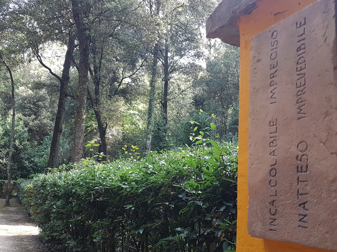 Bosco Della Ragnaia景点图片