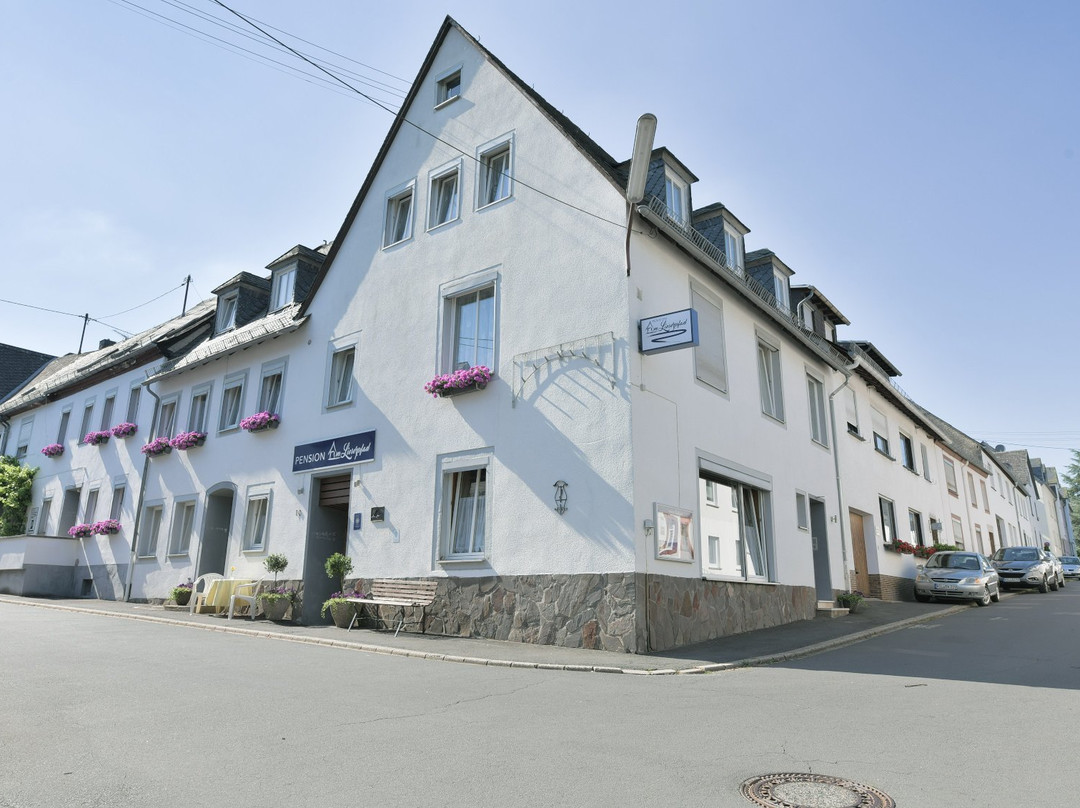 Pension am Lieserpfad主图