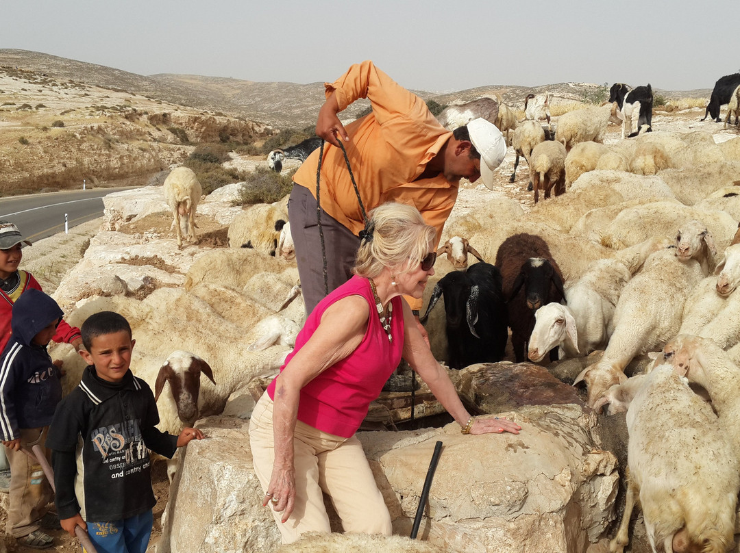 Moti Barness - Private Guide to Israel