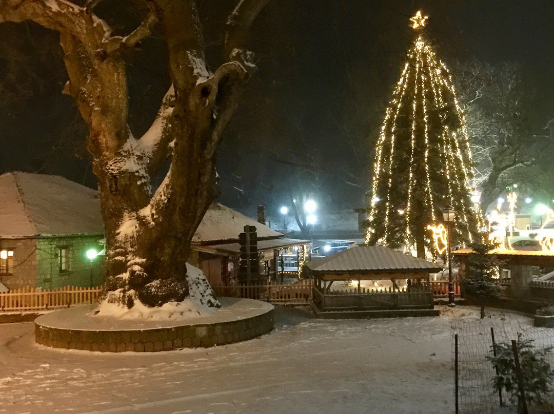 Metsovo Central Square-迈措沃必去景点