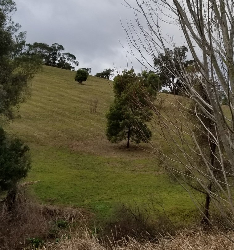 Sutherland Estate-Dixons Creek必去景点