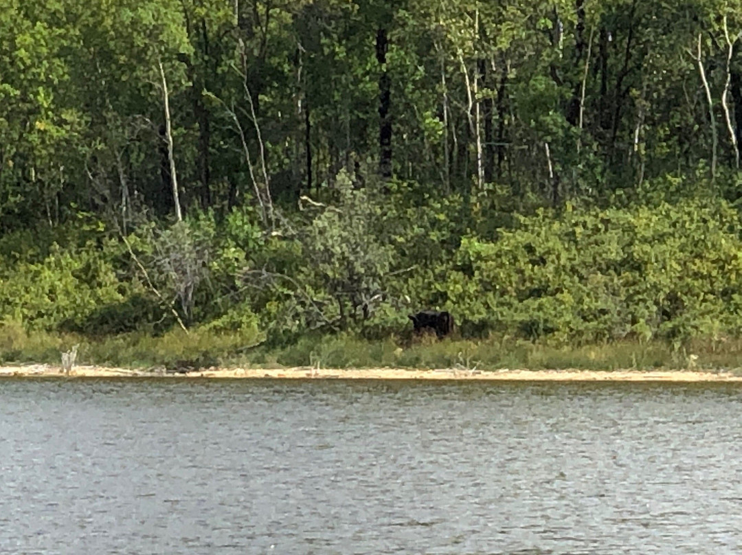 Moose Mountain Provincial Park-Kenosee Lake必去景点