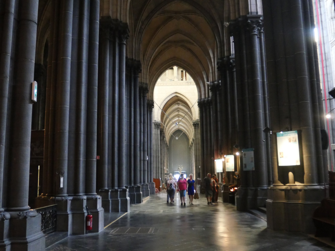 Cathedrale de la Treille景点图片