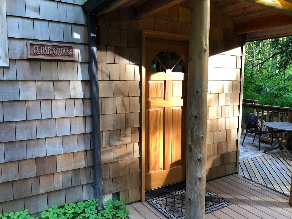 Deep Forest Cabins at Mt. Rainier主图