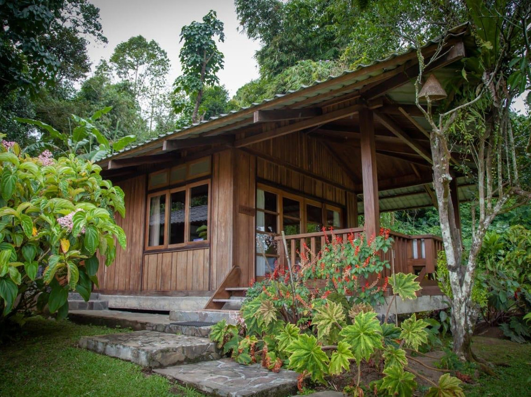 Gardenia Country Inn主图