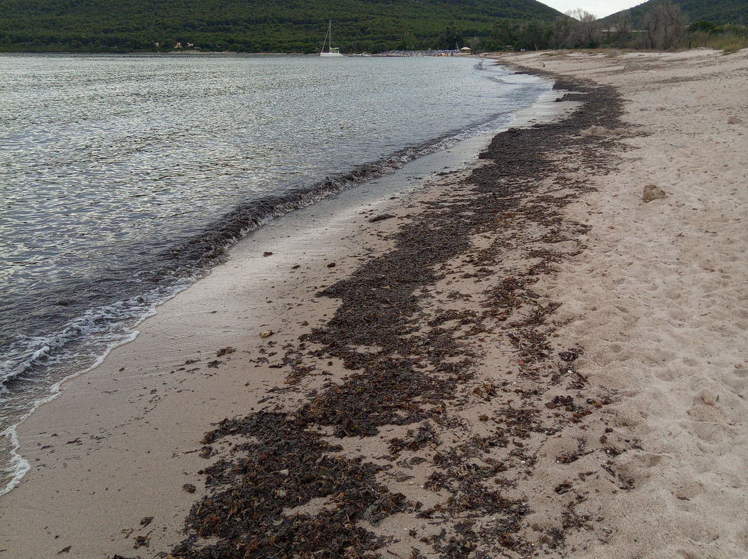 Spiaggia Mugoni-阿尔盖罗必去景点