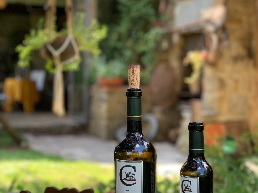 La Casa di Bricciano - Azienda Agricola Biologica - Organic winery景点图片