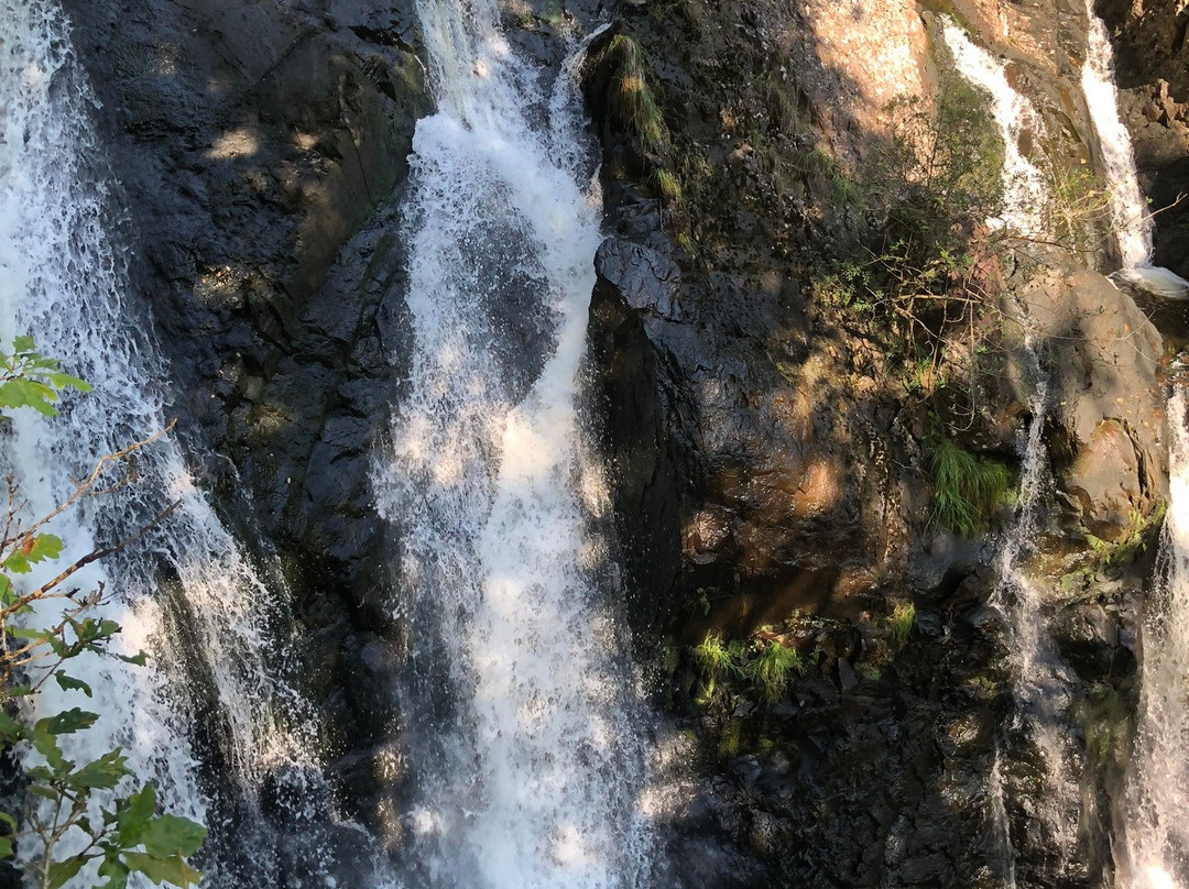 Rhaeadr Ddu and Coed Ganllwyd Walk景点图片