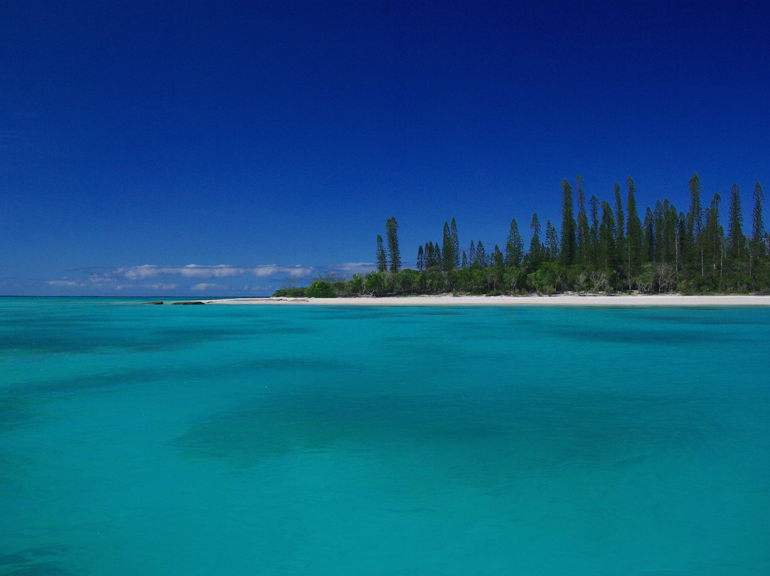 Brush Island-Ile Des Pins必去景点