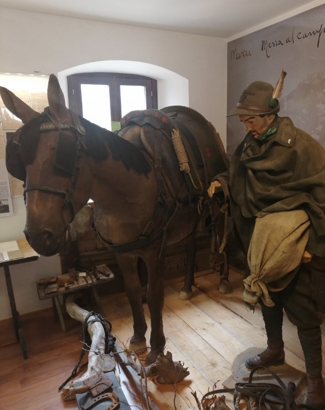 Museo della Grande Guerra-Forni Avoltri必去景点