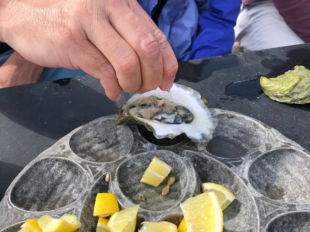 Nonesuch Oysters-斯卡伯勒必去景点