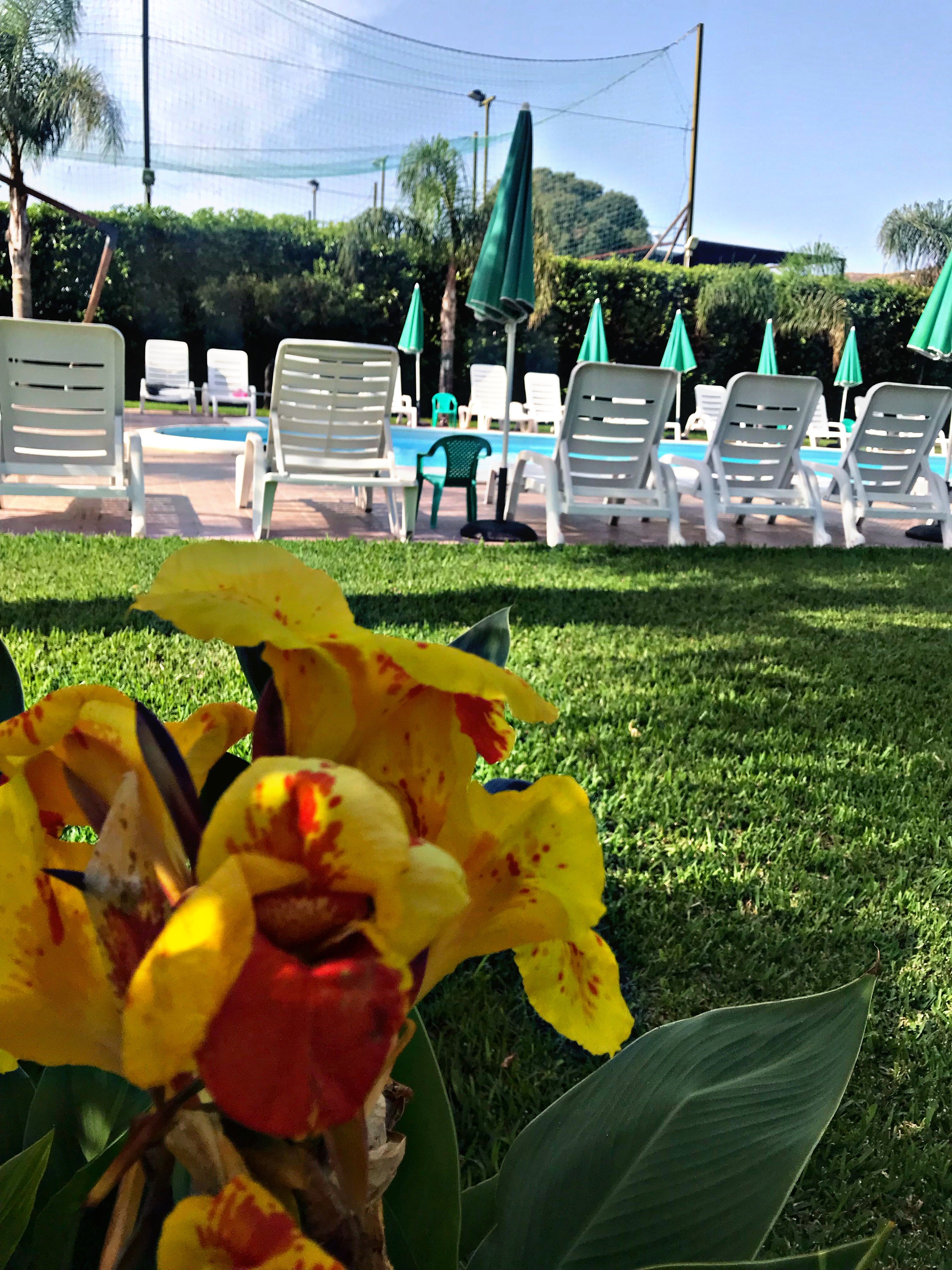 B&B Il Sole Nascente-官方