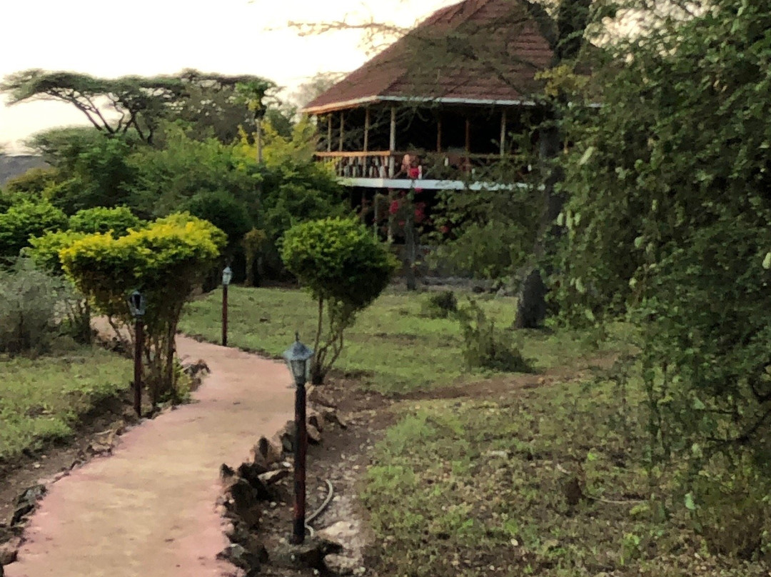 依考玛探险营地山林小屋主图