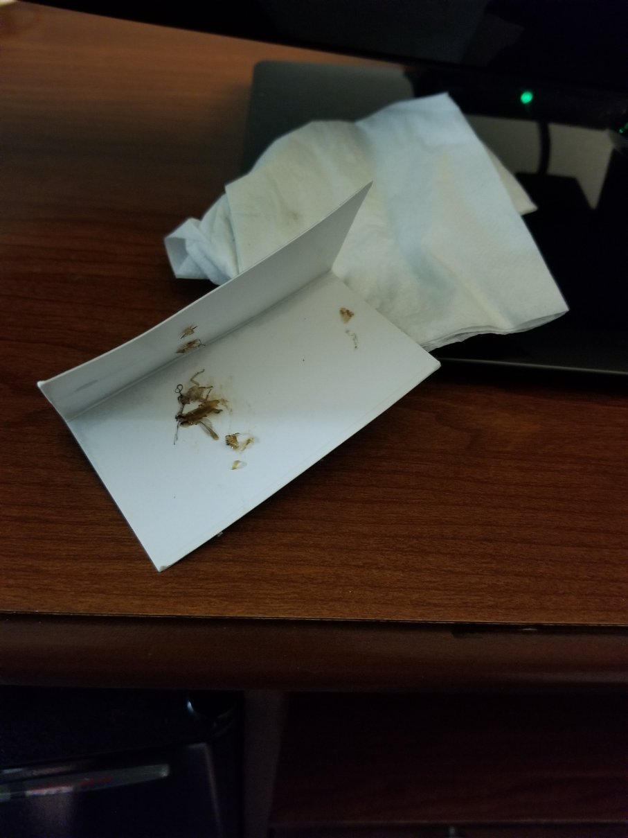 Days Inn by Wyndham Paris-portrait