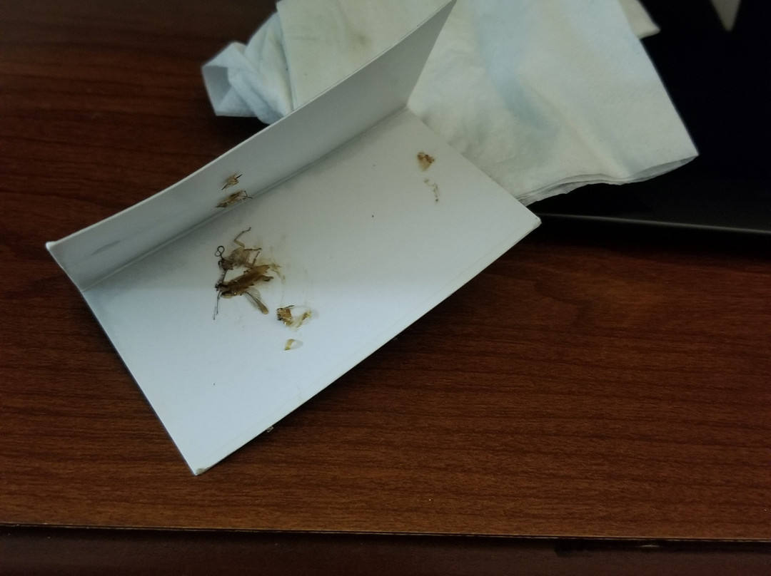 Days Inn by Wyndham Paris主图