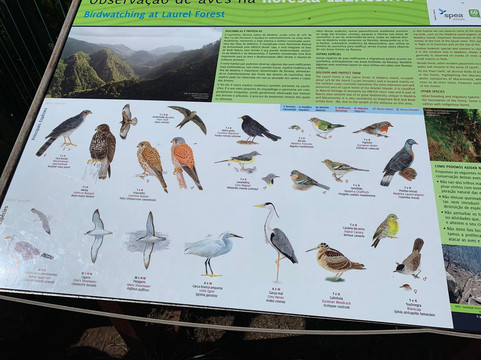 Madeira In Táxi-沙尔必去景点