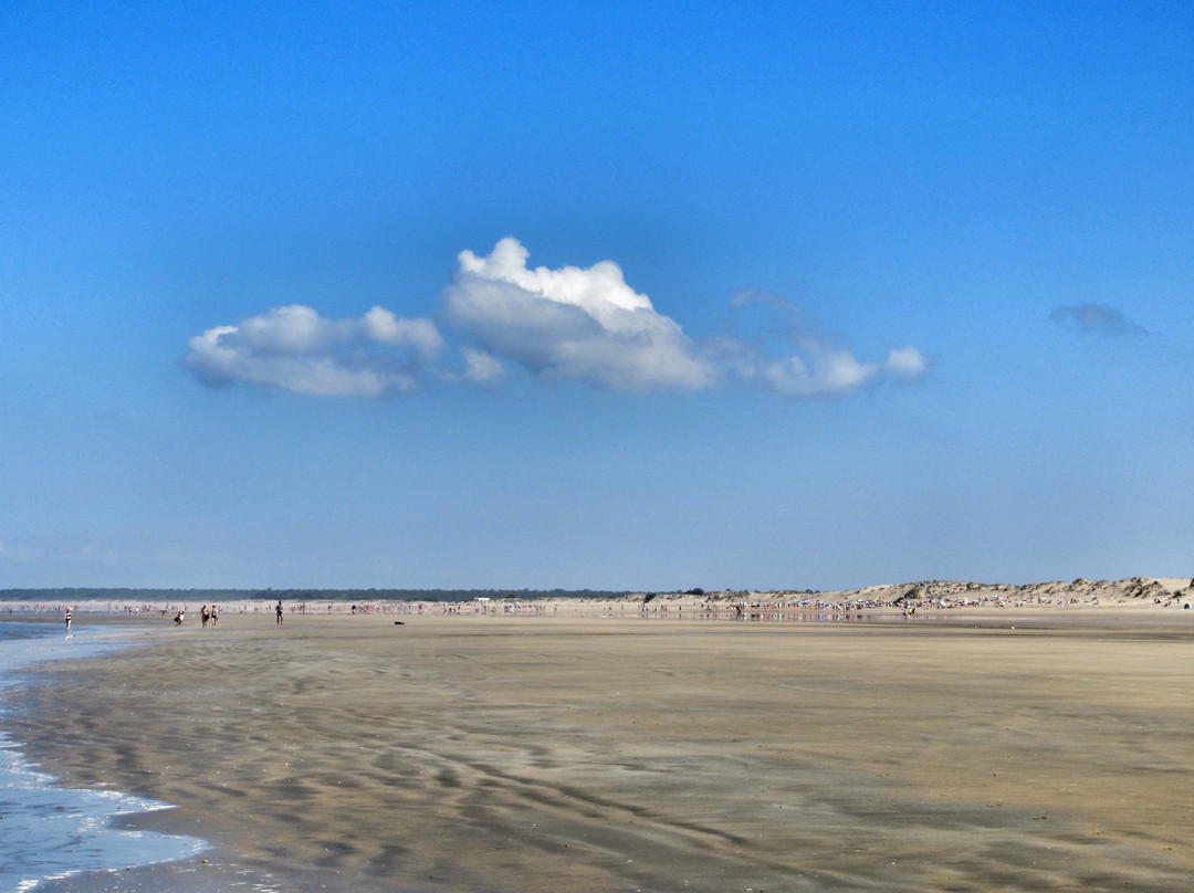 Plage de Vert Bois景点图片