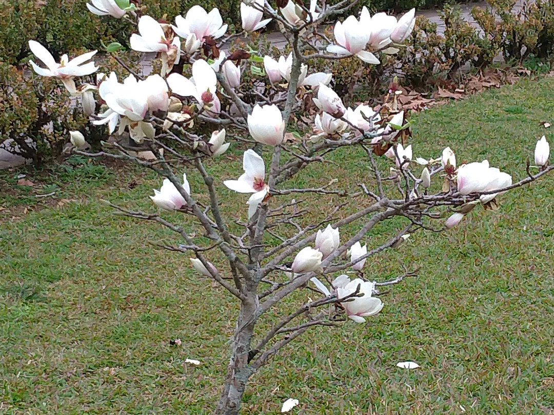 Miolo Wine Group-本图贡萨尔维斯必去景点