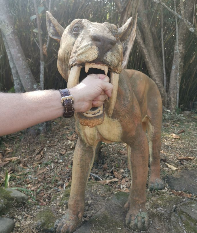 Sudwala Dinosaur Park-尼斯普鲁特必去景点