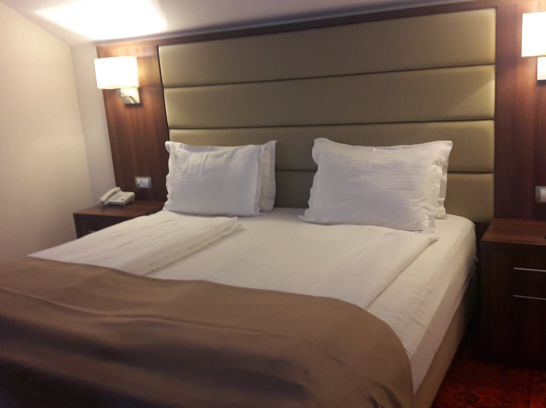 Hotel Radsor主图