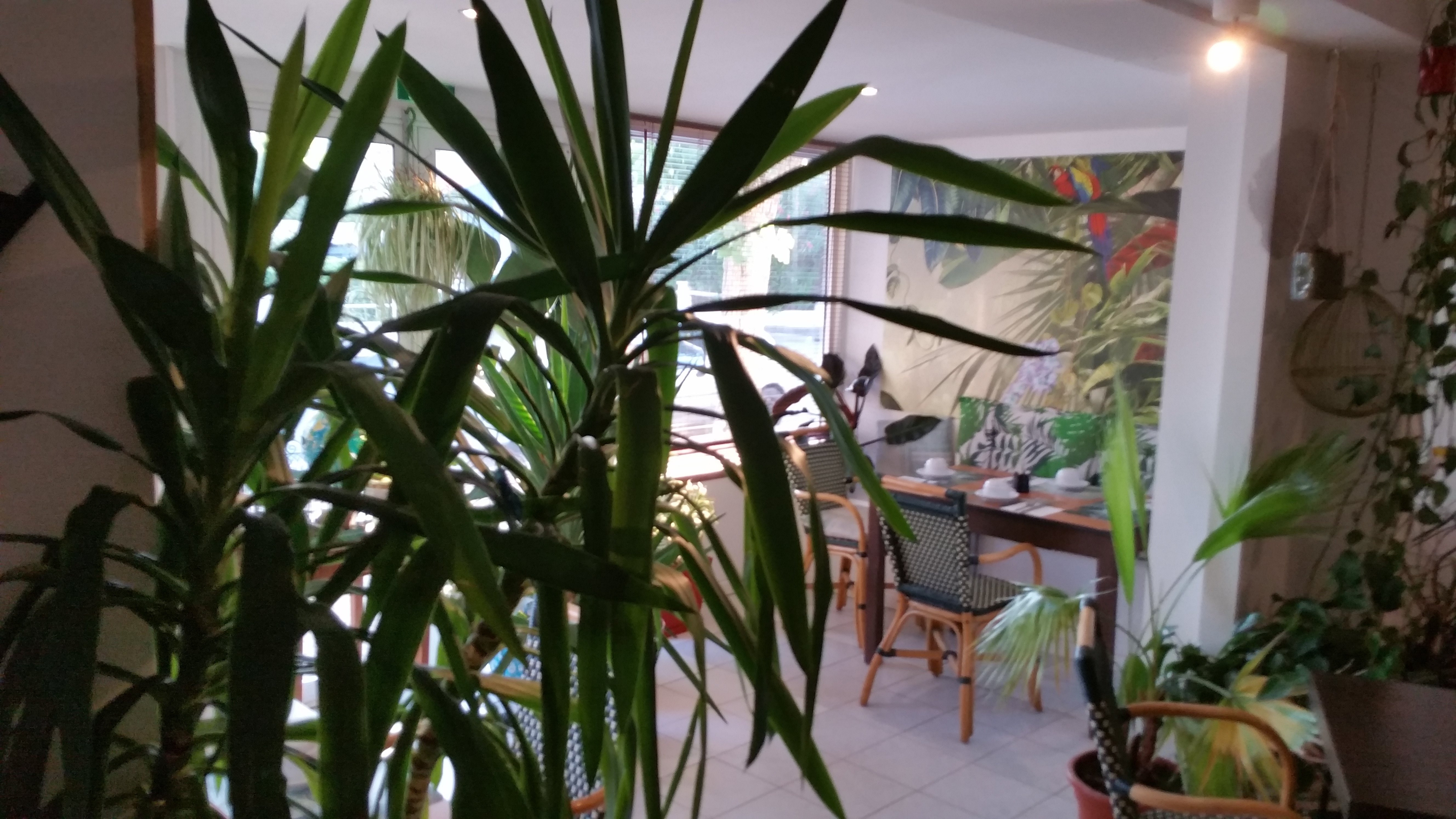 Le Vent Des Globes-餐饮