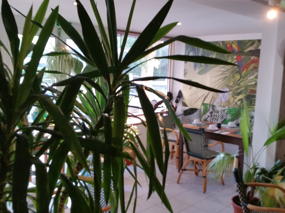 Le Vent Des Globes主图