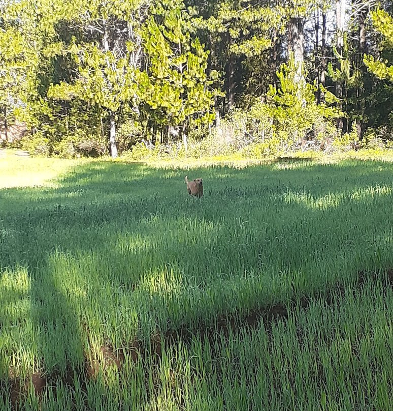 Luchita Mia Eco Cabanas Boutique主图