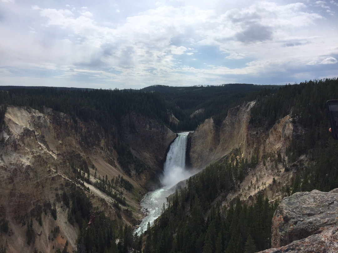 Yellowstone Scenic Tours景点图片