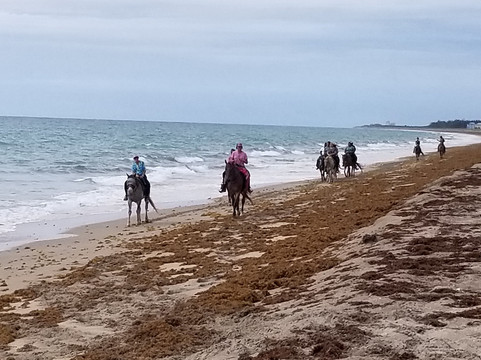 Frederick Douglass Memorial Park-匹尔斯堡必去景点