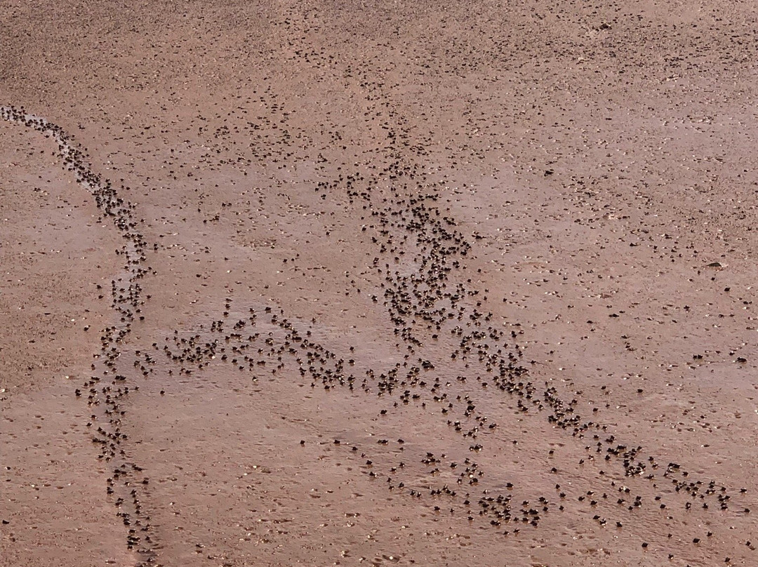 Blue Beach Fossil Museum-Hantsport必去景点