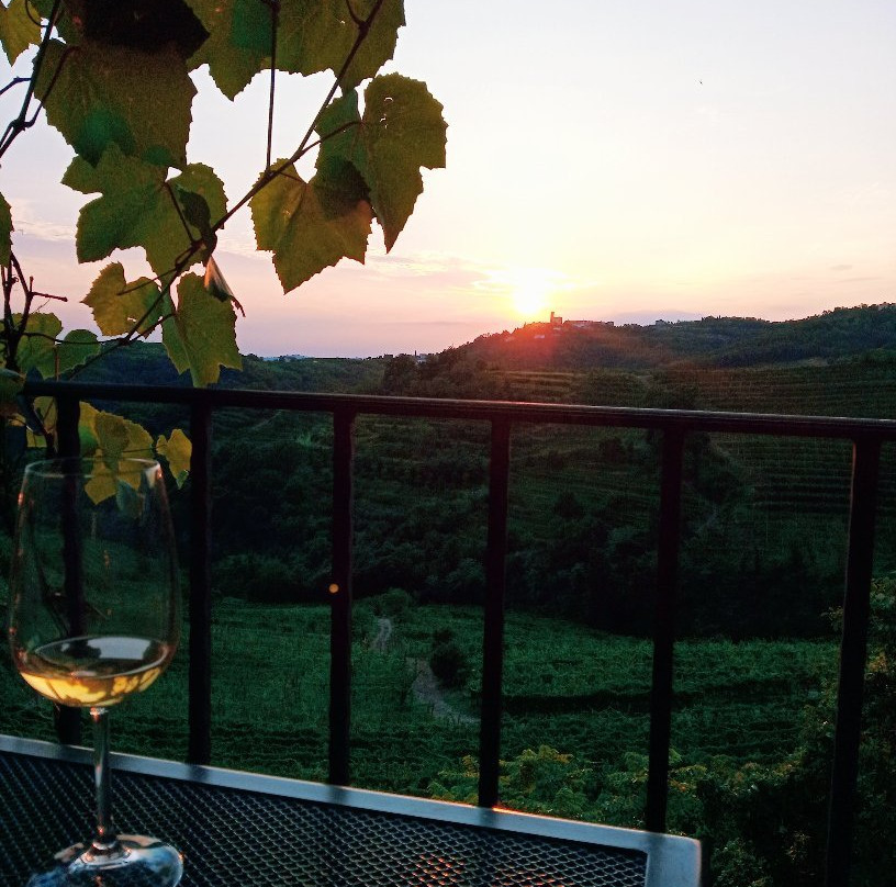 Stekar Winery主图