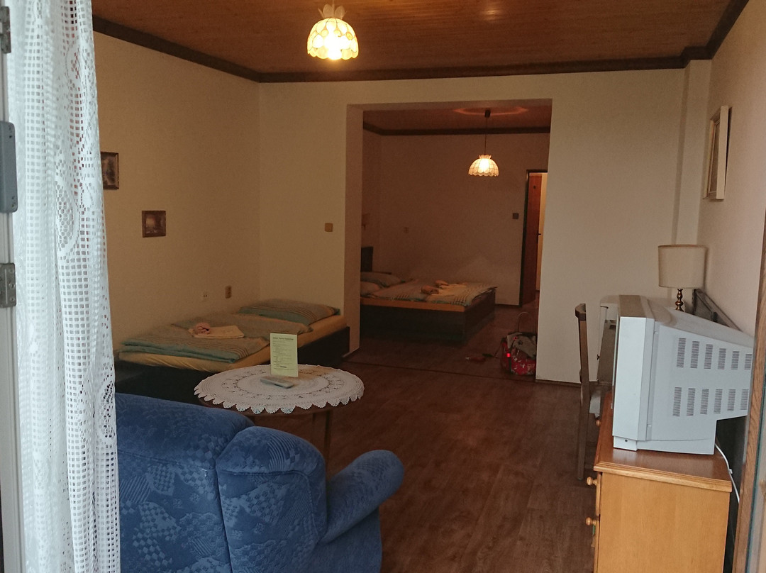 Hotel Pavla Vysocina主图