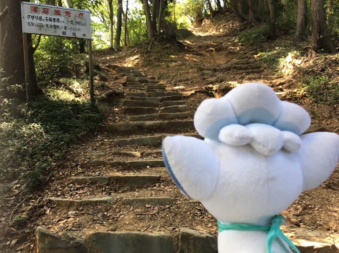 Tonosu Mountain-饭能市必去景点