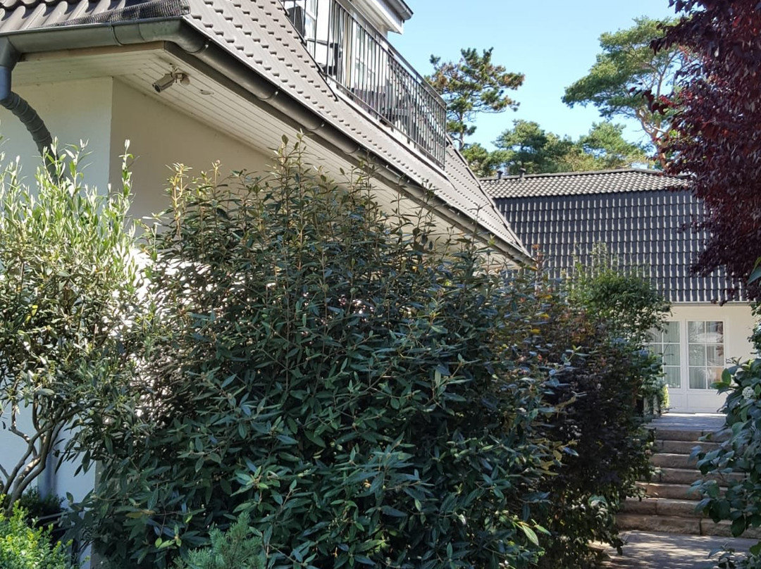 芳塔纳斯特瑞德酒店主图