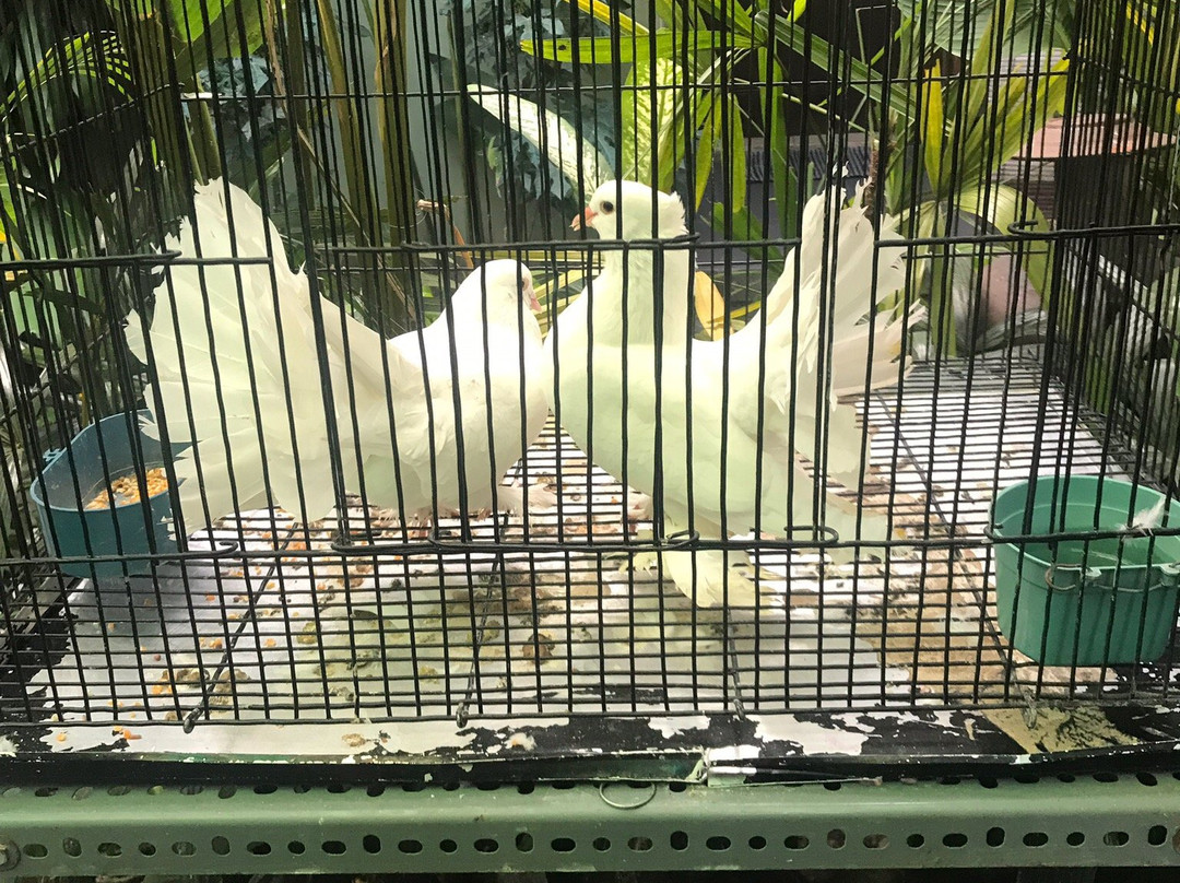 OYO 804 Ndalem Maharani Guest House主图