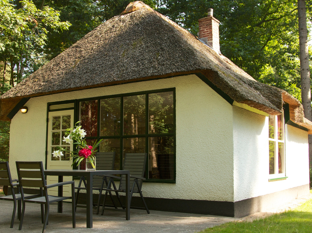 Summio Bungalowpark Herperduin主图