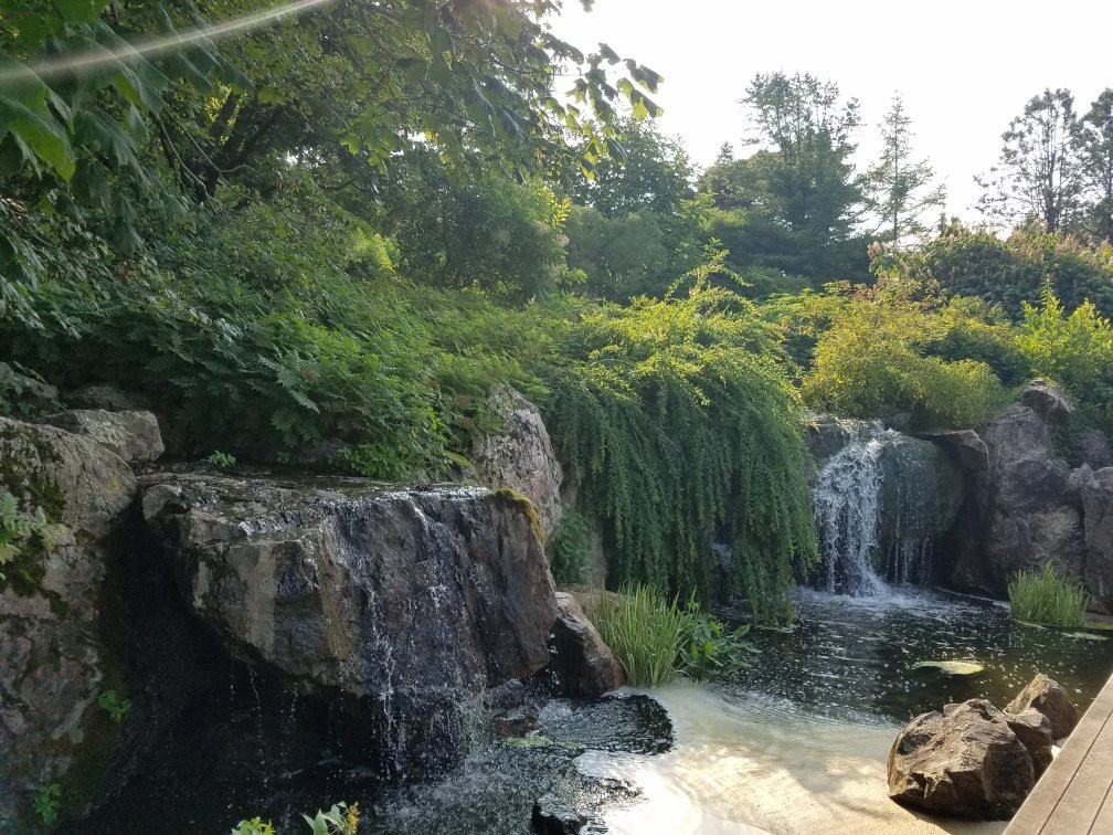 Chicago Botanic Garden景点图片