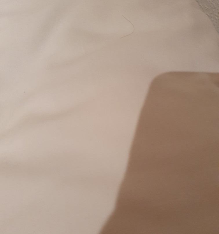 维吉尼亚旅馆主图