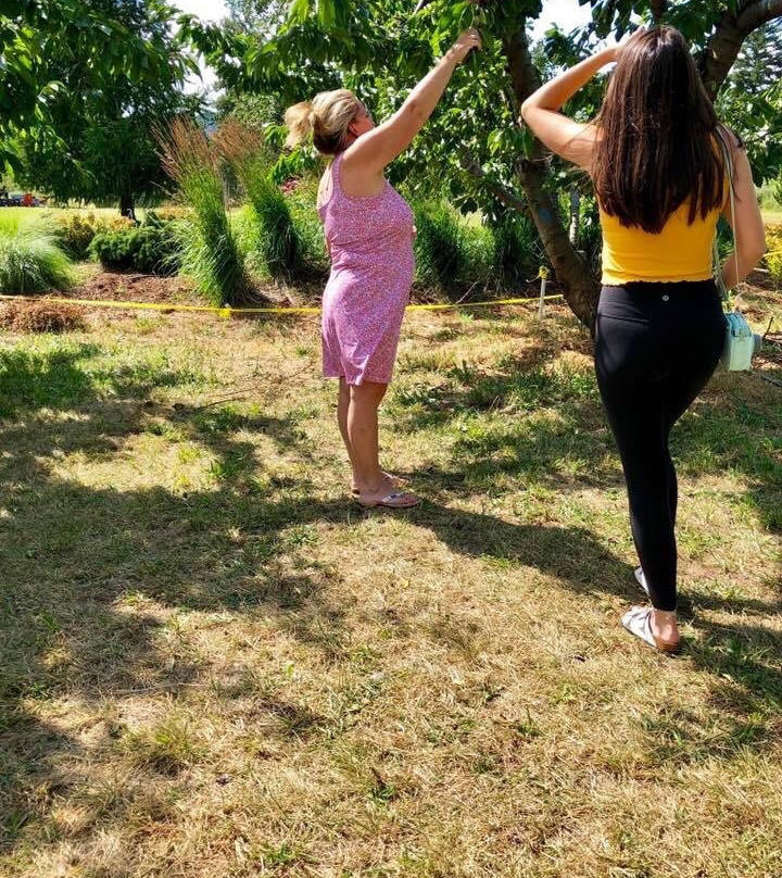 Hood River U-Pick Organic-胡德里弗必去景点