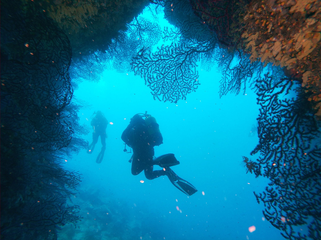 Diving Center Argentario Scuba Point景点图片